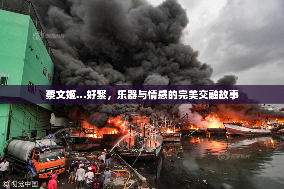 蔡文姬…好紧，乐器与情感的完美交融故事
