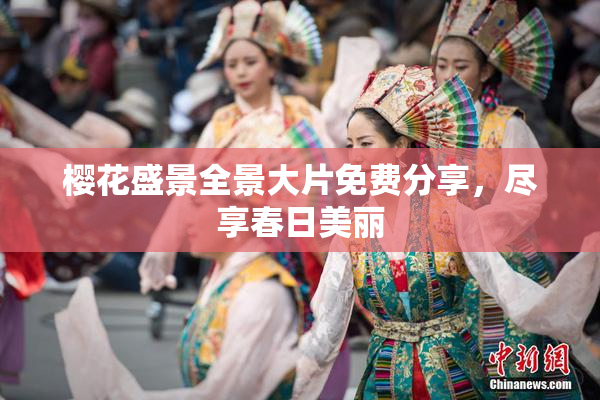 樱花盛景全景大片免费分享，尽享春日美丽