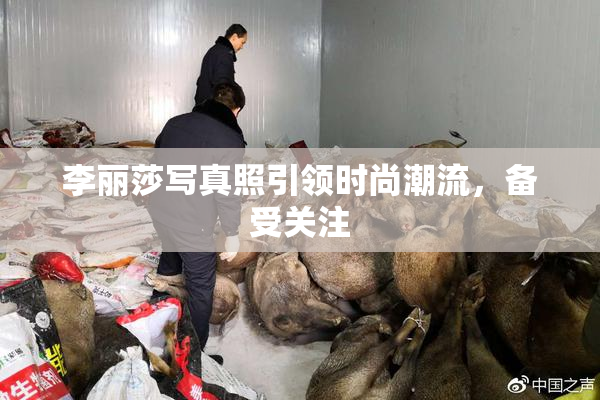 李丽莎写真照引领时尚潮流，备受关注