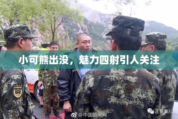 小可熊出没，魅力四射引人关注