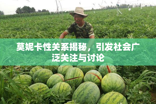 莫妮卡性关系揭秘，引发社会广泛关注与讨论