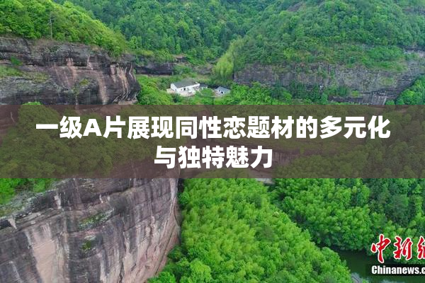 一级A片展现同性恋题材的多元化与独特魅力