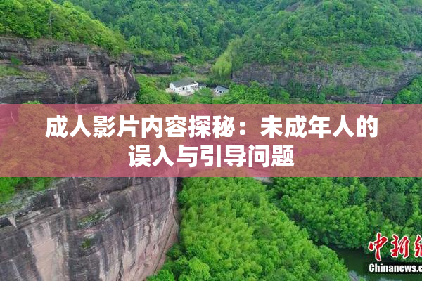 成人影片内容探秘：未成年人的误入与引导问题