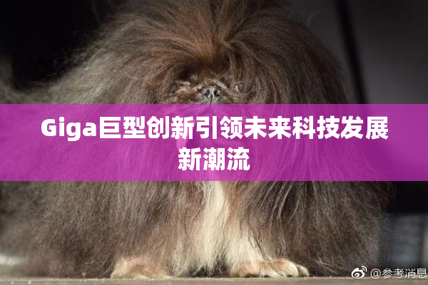 Giga巨型创新引领未来科技发展新潮流