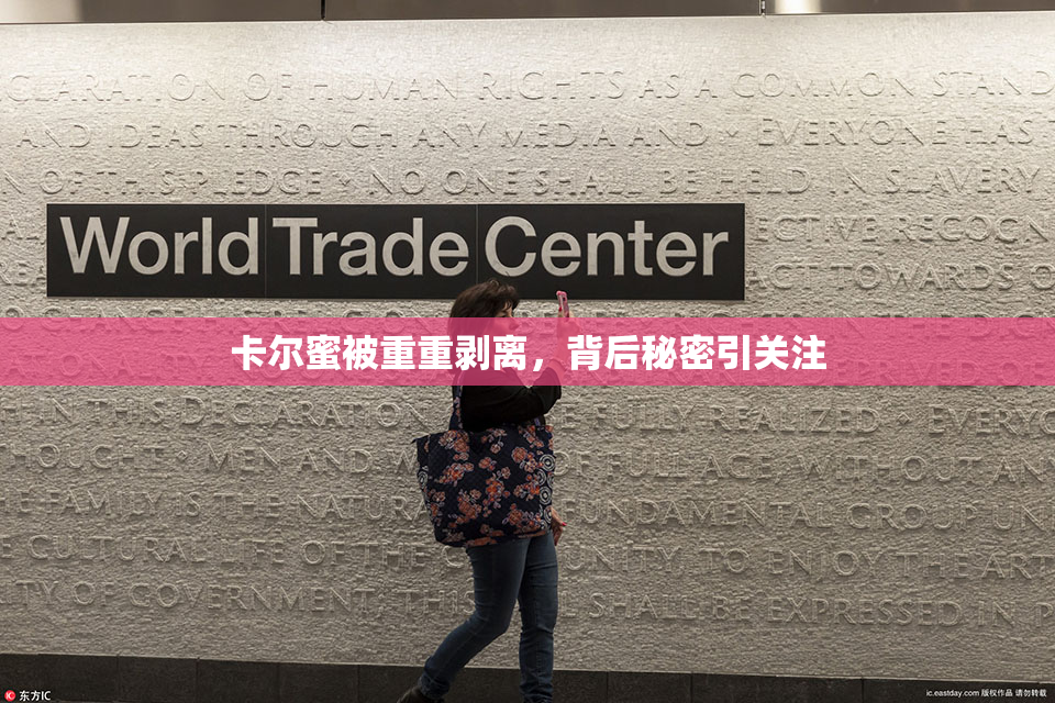 卡尔蜜被重重剥离，背后秘密引关注
