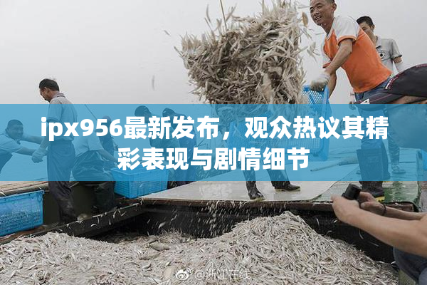 ipx956最新发布，观众热议其精彩表现与剧情细节