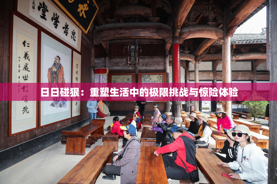 日日碰狠：重塑生活中的极限挑战与惊险体验