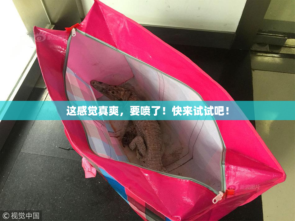 这感觉真爽，要喷了！快来试试吧！