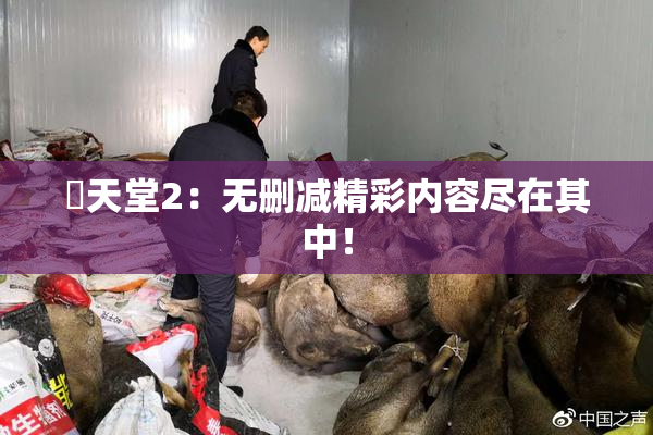 妺天堂2：无删减精彩内容尽在其中！