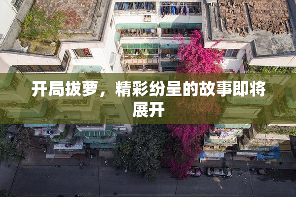 开局拔萝，精彩纷呈的故事即将展开