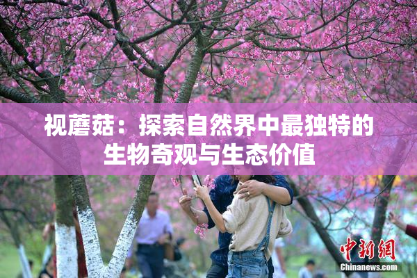 视蘑菇：探索自然界中最独特的生物奇观与生态价值