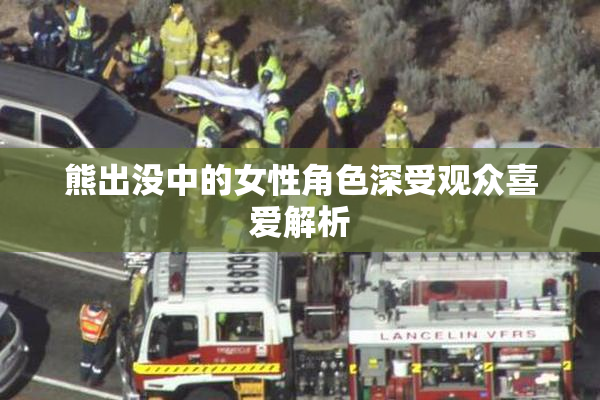 熊出没中的女性角色深受观众喜爱解析