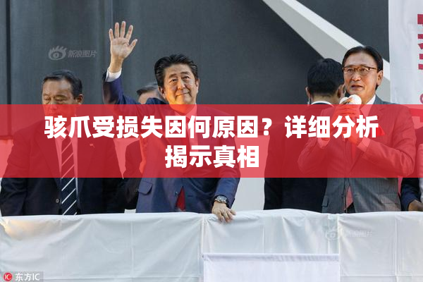 骇爪受损失因何原因？详细分析揭示真相