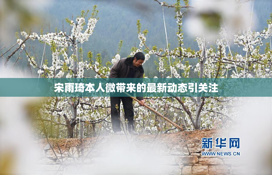 宋雨琦本人微带来的最新动态引关注