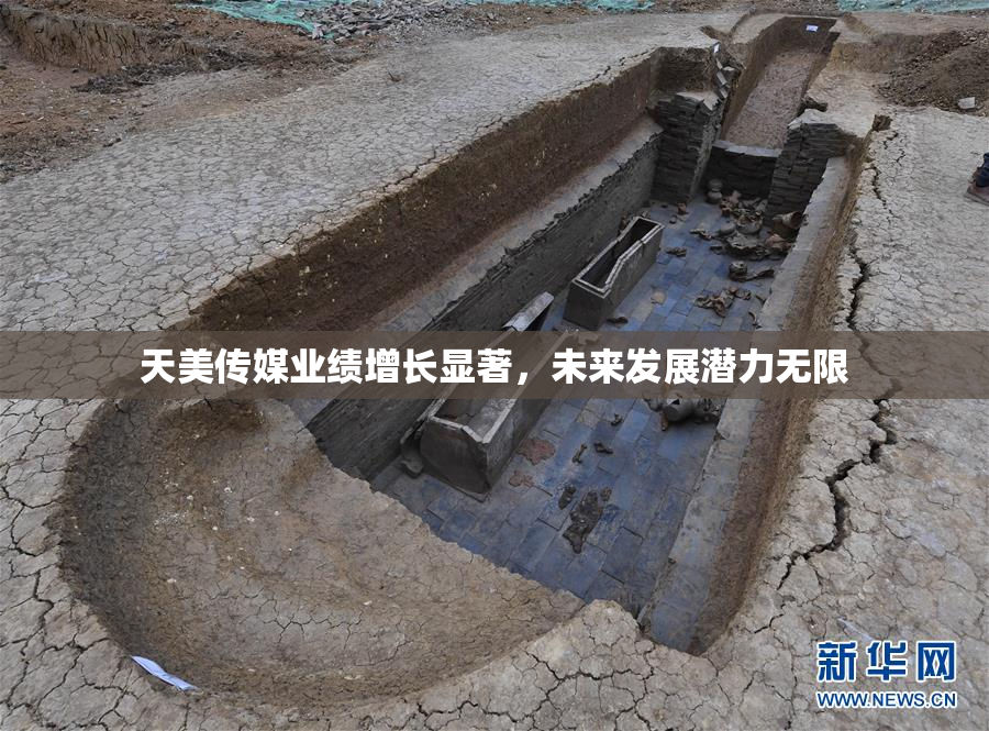 天美传媒业绩增长显著，未来发展潜力无限