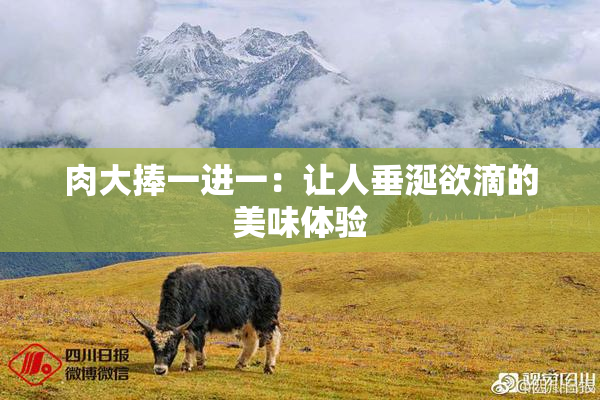 肉大捧一进一：让人垂涎欲滴的美味体验