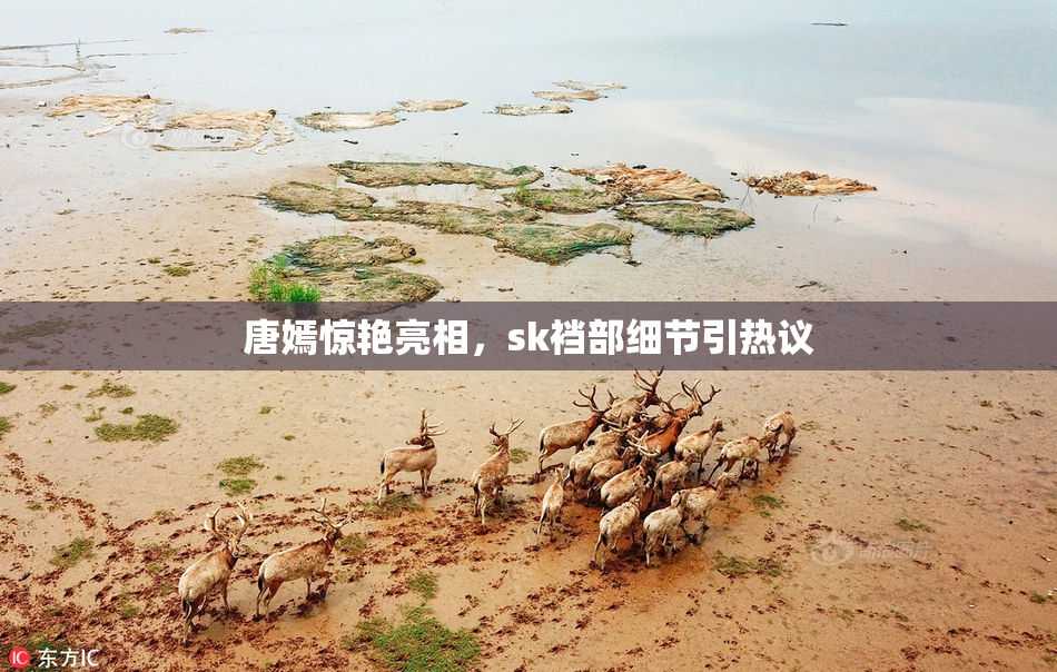 唐嫣惊艳亮相，sk裆部细节引热议