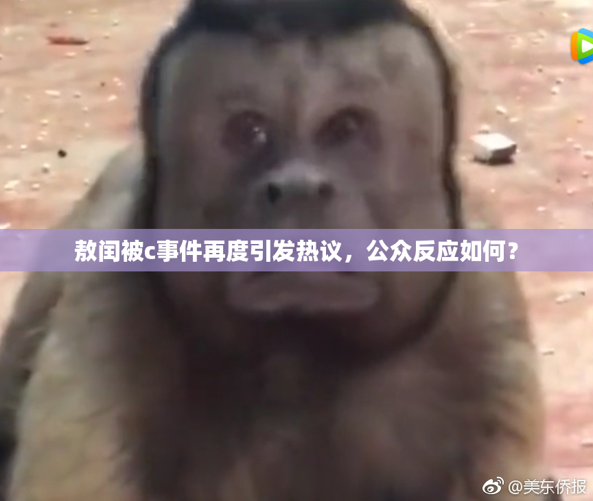 敖闰被c事件再度引发热议，公众反应如何？