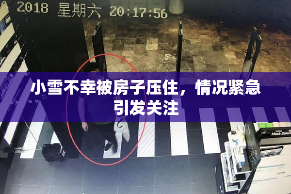 小雪不幸被房子压住，情况紧急引发关注