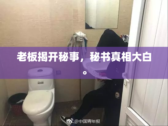老板揭开秘事，秘书真相大白。