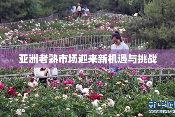 亚洲老熟市场迎来新机遇与挑战