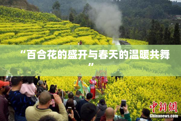 “百合花的盛开与春天的温暖共舞”