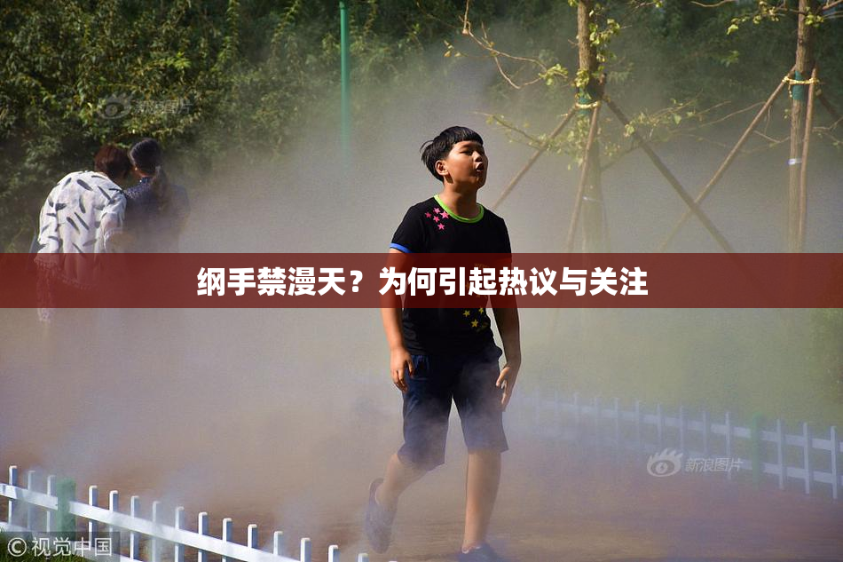 纲手禁漫天？为何引起热议与关注