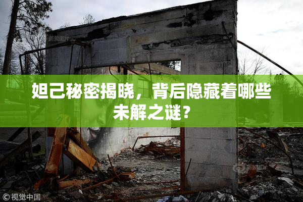 妲己秘密揭晓，背后隐藏着哪些未解之谜？