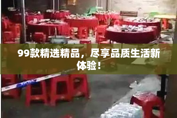 99款精选精品，尽享品质生活新体验！