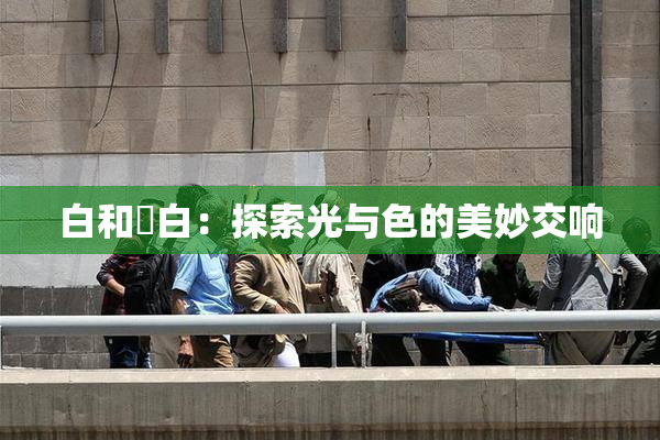 白和晄白：探索光与色的美妙交响