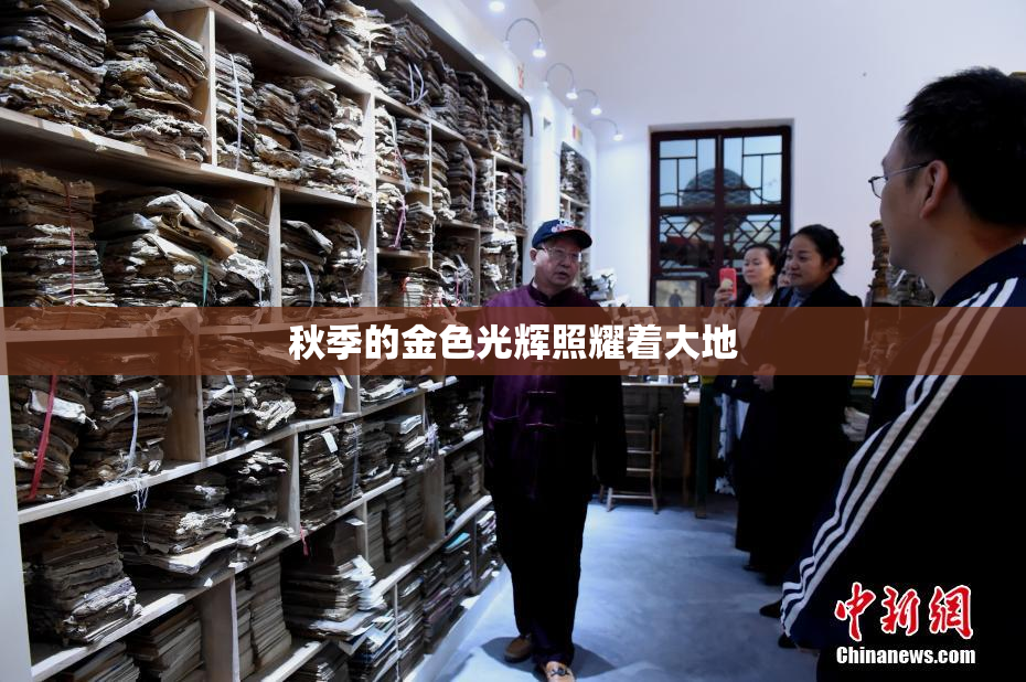 秋季的金色光辉照耀着大地