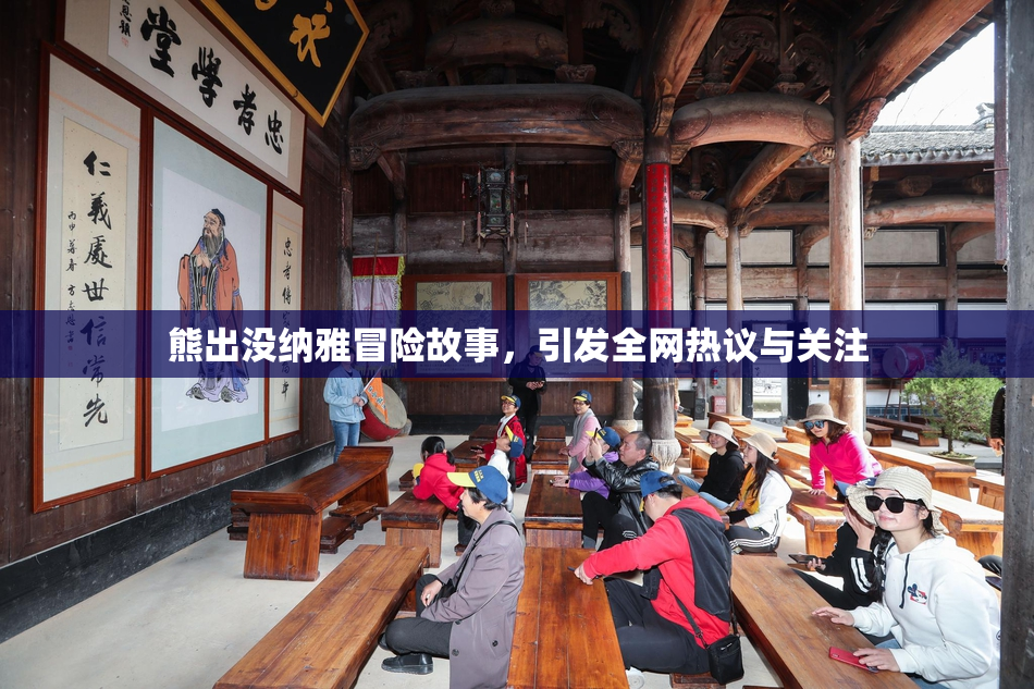 熊出没纳雅冒险故事，引发全网热议与关注