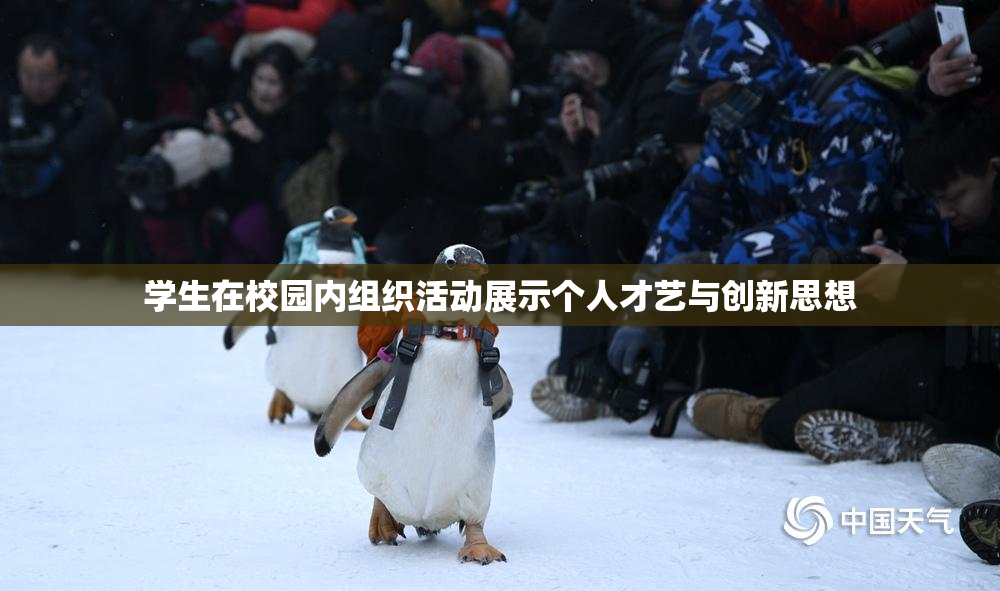 学生在校园内组织活动展示个人才艺与创新思想