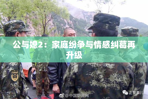 公与媳2：家庭纷争与情感纠葛再升级