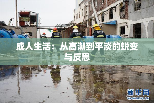 成人生活：从高潮到平淡的蜕变与反思