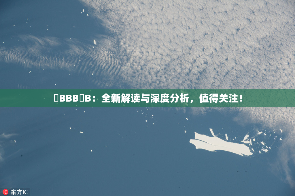 嫰BBB槡B：全新解读与深度分析，值得关注！