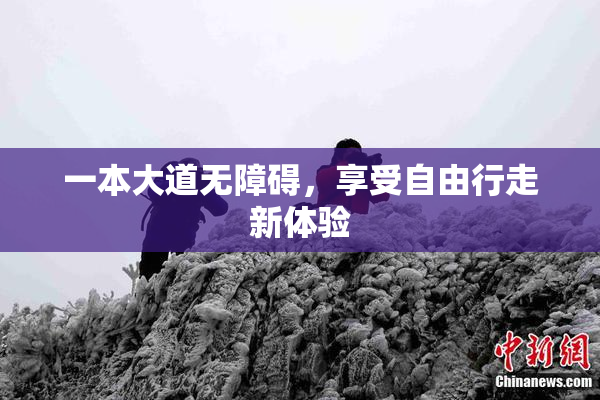一本大道无障碍，享受自由行走新体验