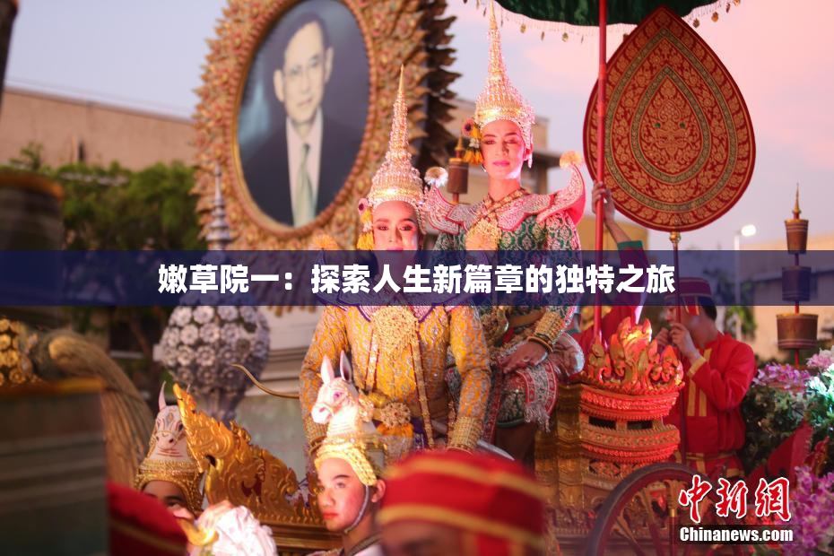 嫩草院一：探索人生新篇章的独特之旅