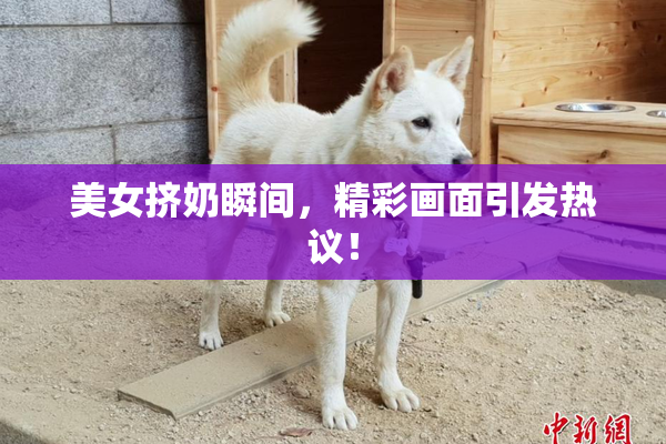美女挤奶瞬间，精彩画面引发热议！