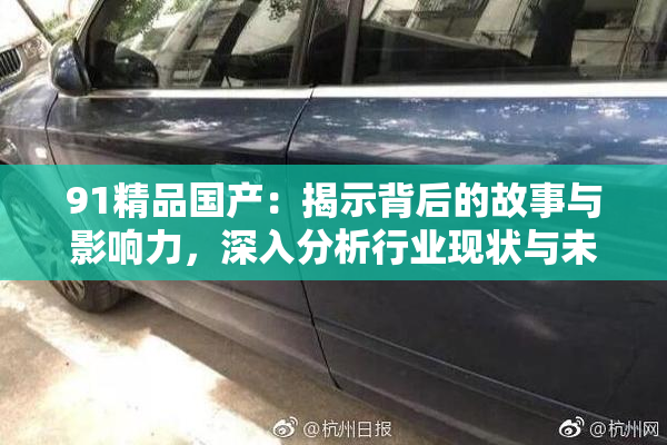 91精品国产：揭示背后的故事与影响力，深入分析行业现状与未来趋势