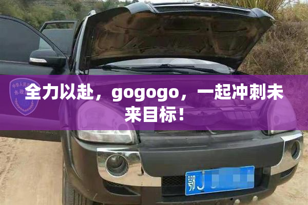 全力以赴，gogogo，一起冲刺未来目标！