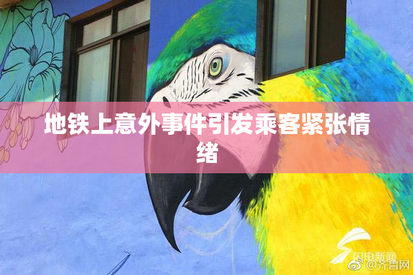 地铁上意外事件引发乘客紧张情绪