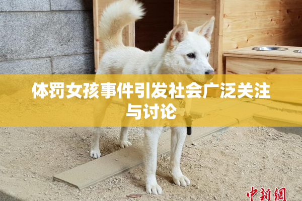 体罚女孩事件引发社会广泛关注与讨论