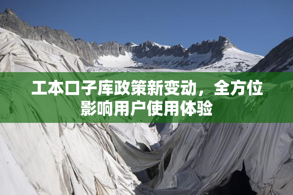 工本口子库政策新变动，全方位影响用户使用体验