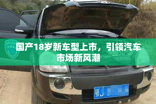 国产18岁新车型上市，引领汽车市场新风潮
