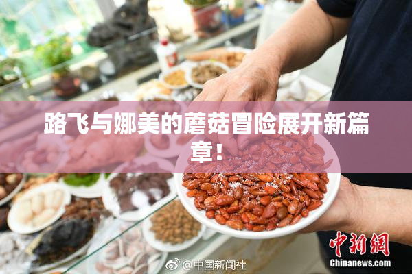 路飞与娜美的蘑菇冒险展开新篇章！