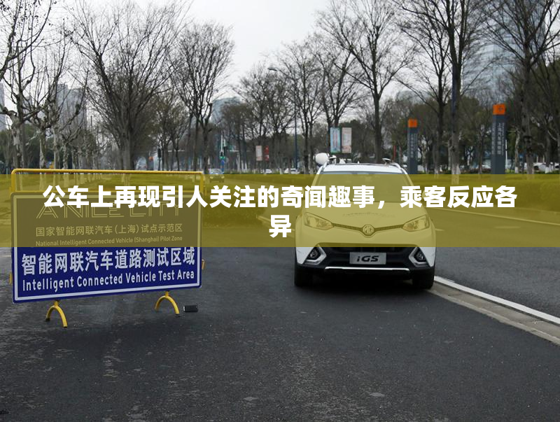公车上再现引人关注的奇闻趣事，乘客反应各异