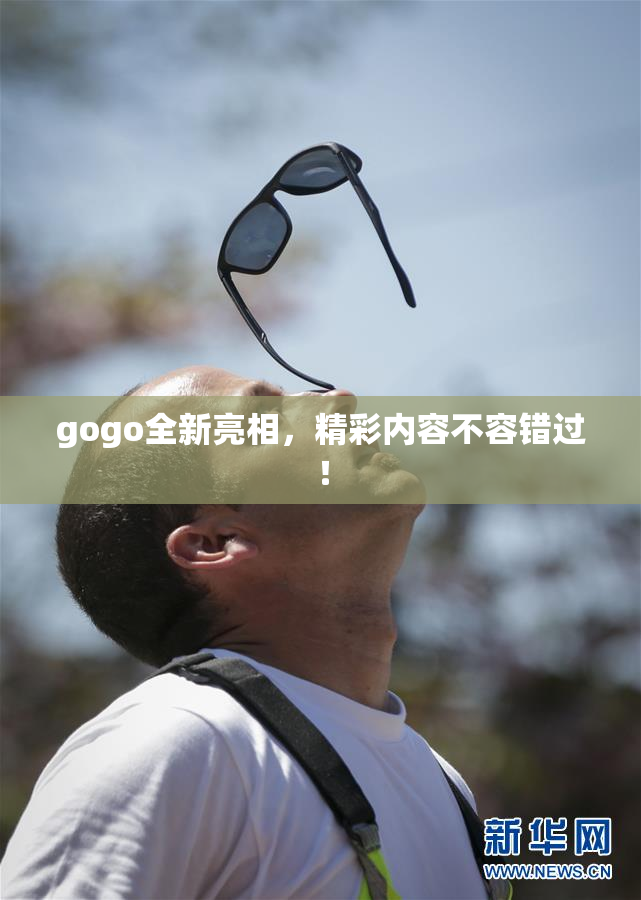 gogo全新亮相，精彩内容不容错过！