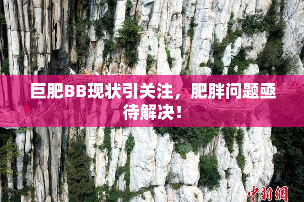 巨肥BB现状引关注，肥胖问题亟待解决！