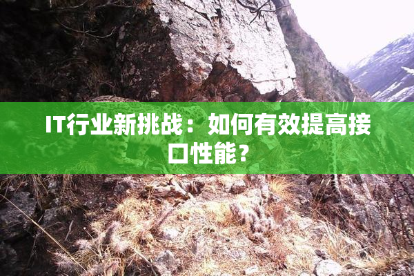 IT行业新挑战：如何有效提高接口性能？